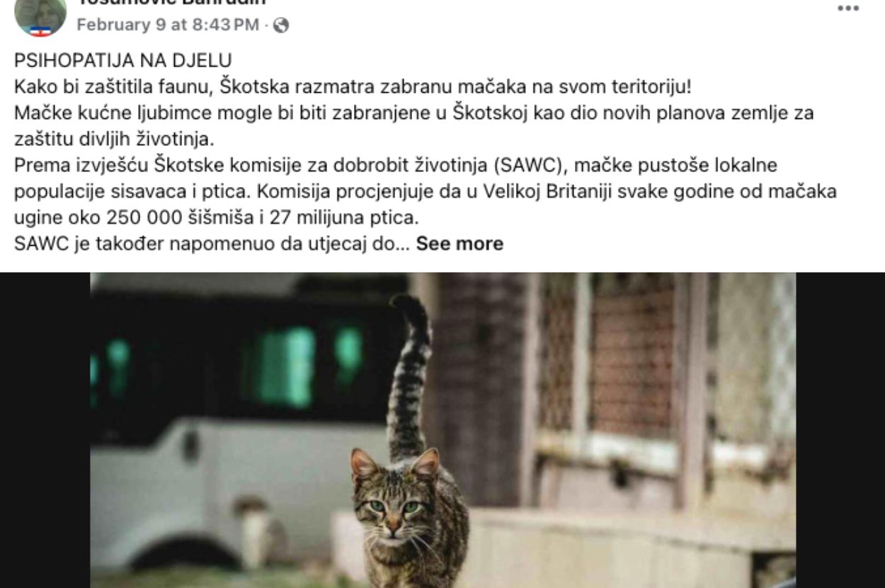 FB Screenshot